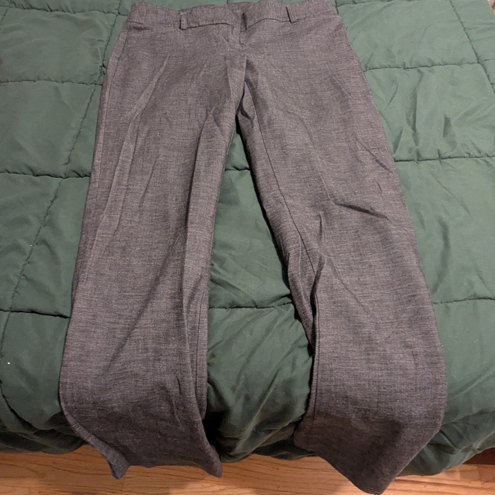 Express Columnist Charcoal Pants